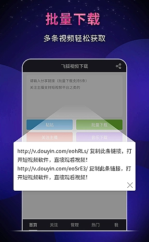 我们的样子像极了爱情 封面